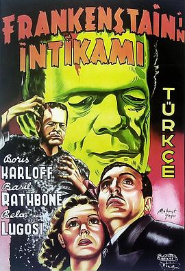 9发子弹 封面图